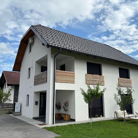 Aura Apartments Zirovnica 外观 照片