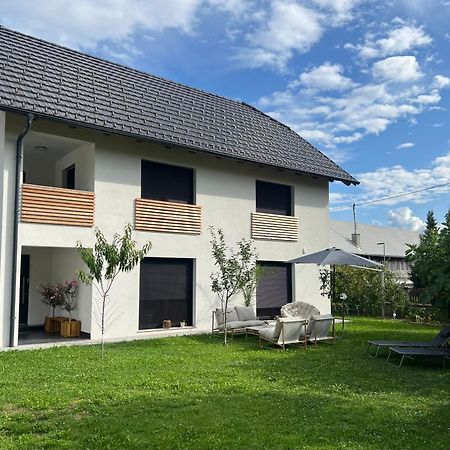 Aura Apartments Zirovnica 外观 照片