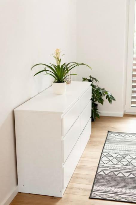 Aura Apartments Zirovnica 外观 照片
