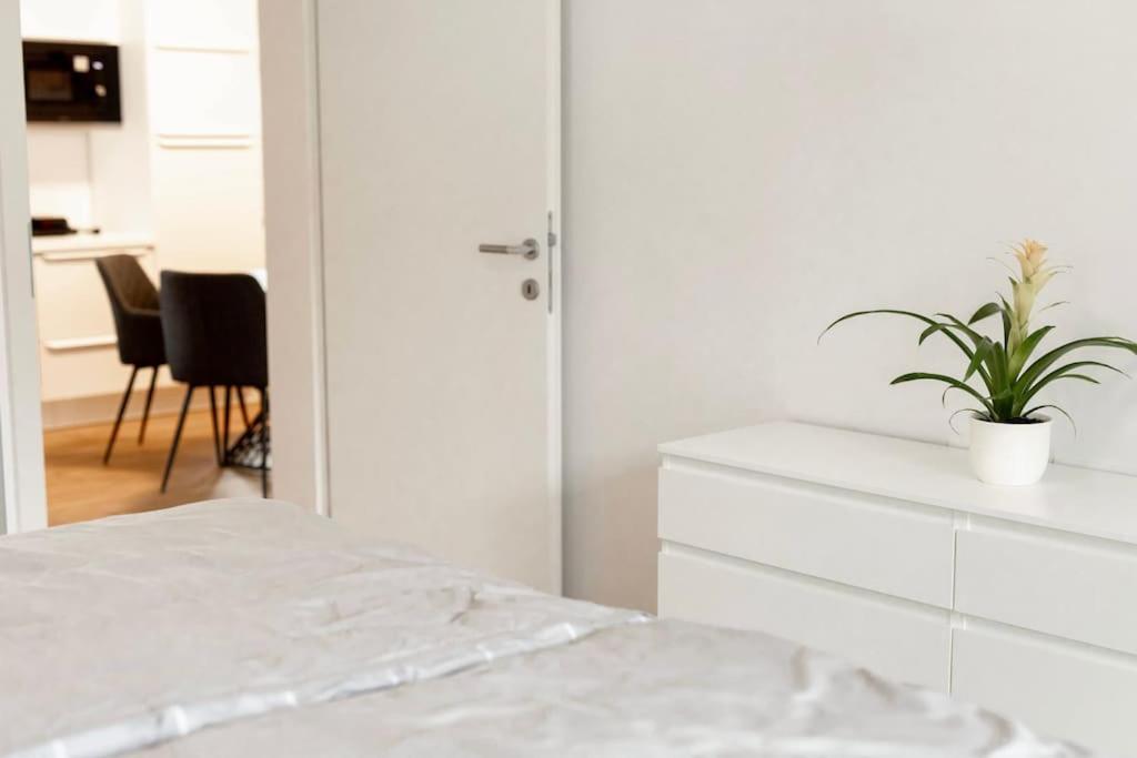 Aura Apartments Zirovnica 外观 照片