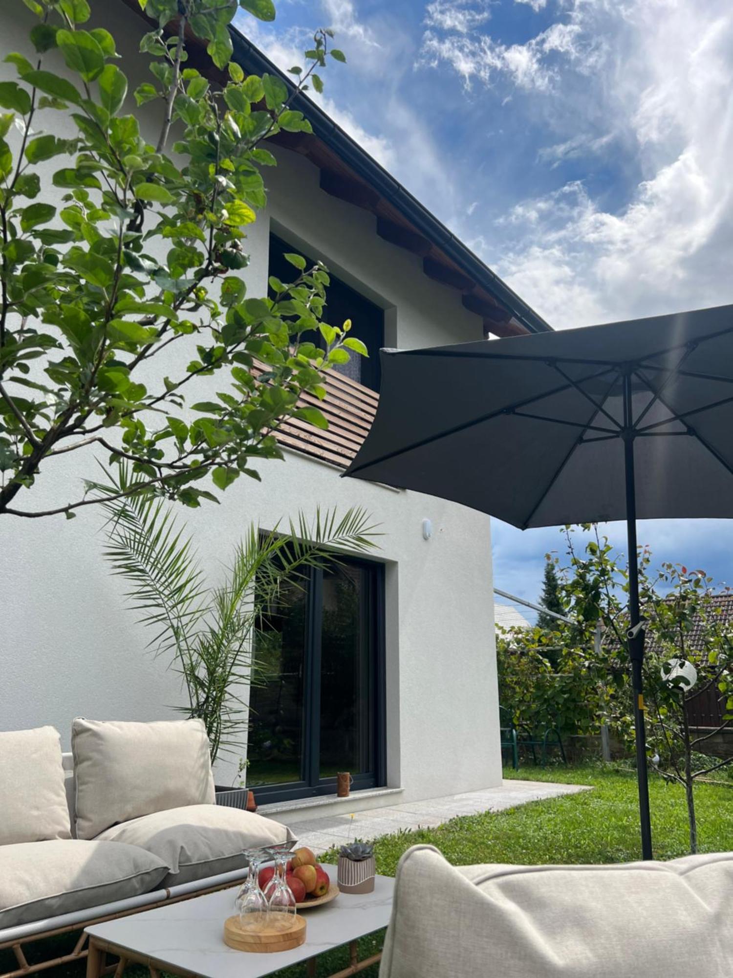 Aura Apartments Zirovnica 外观 照片