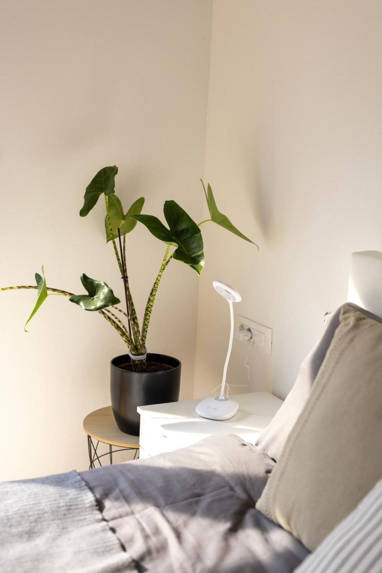 Aura Apartments Zirovnica 外观 照片